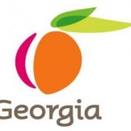 New State Profile: Georgia