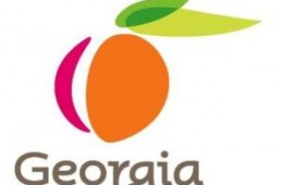 New State Profile: Georgia